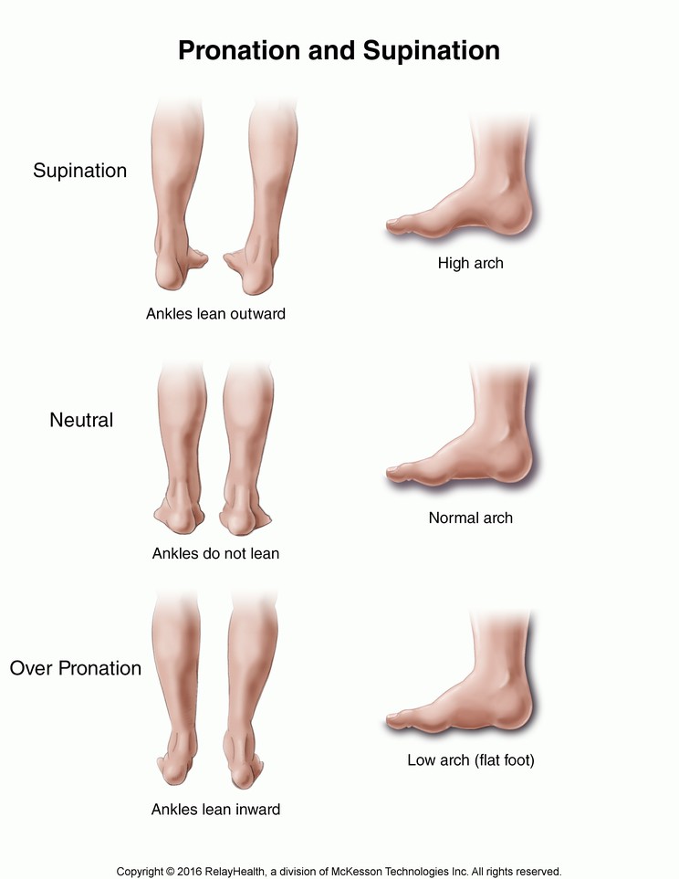 Pronation and Supination: Illustration