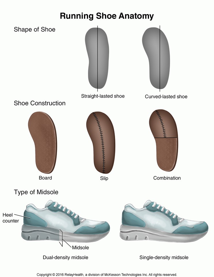 Running Shoe Anatomy: Illustration