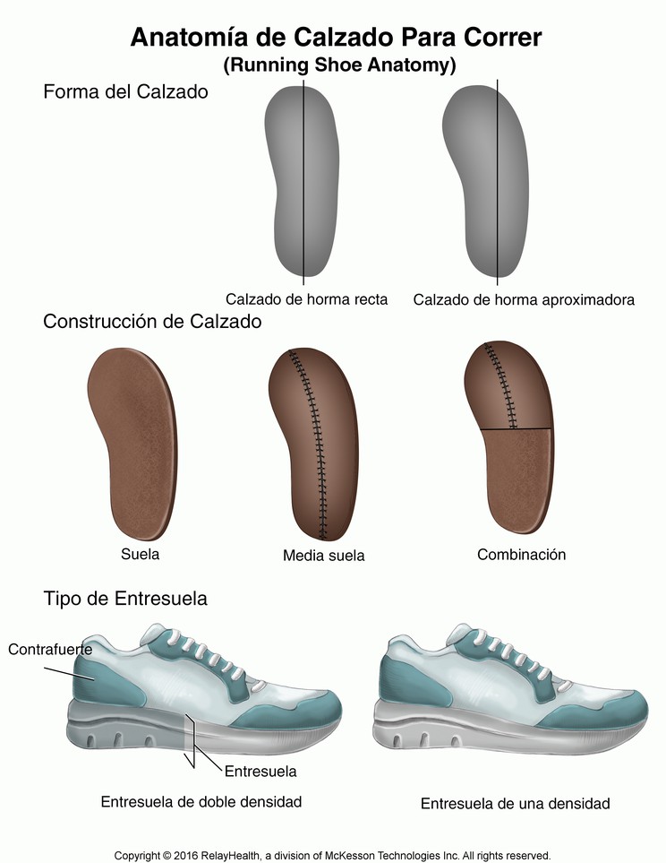 Running Shoe Anatomy: Illustration