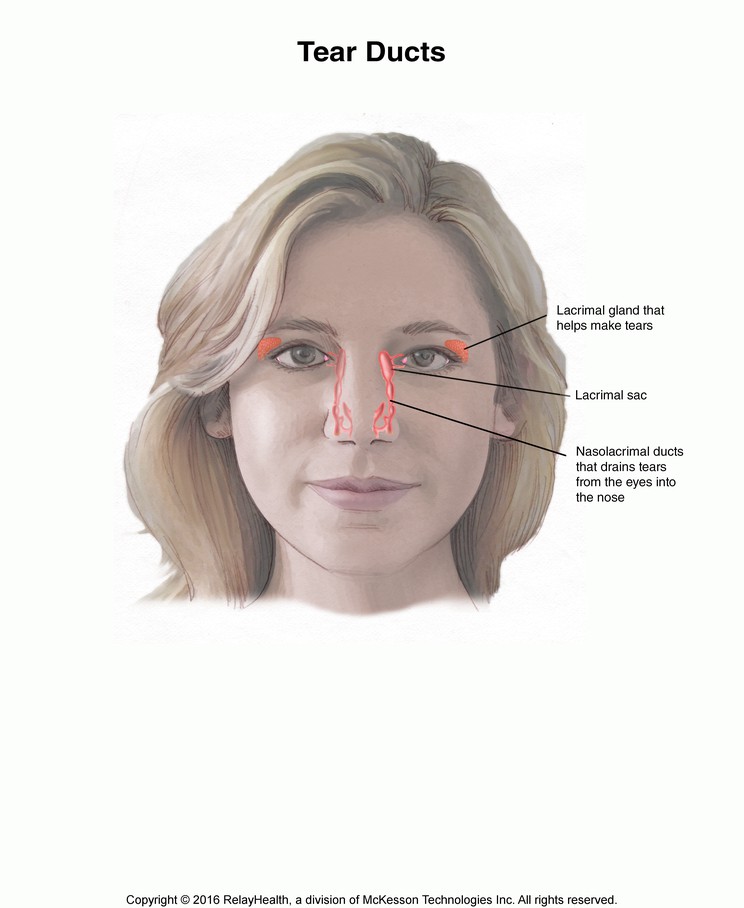 Tear Ducts: Illustration