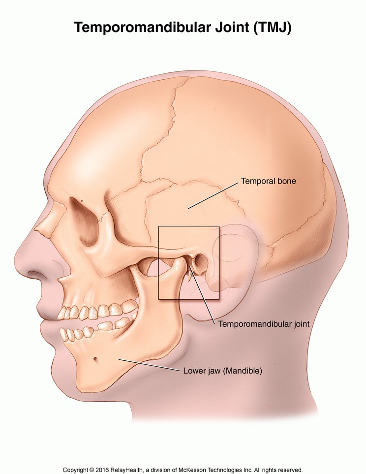 Temporomandibular Joint: Illustration