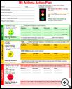 Thumbnail image of: Asthma Action Plan: Illustration