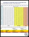 Thumbnail image of: Calculating Your Health Risk Using the Body Mass Index: Illustration