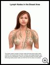 Thumbnail image of: Breast Lymph Nodes: Illustration