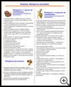 Thumbnail image of: Diabetes Healthy Snacks: Illustration