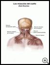 Thumbnail image of: Neck Strain: Illustration