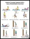 Thumbnail image of: Anterior Cruciate Ligament (ACL) Injury Exercises: Illustration, page 1