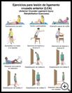 Thumbnail image of: Anterior Cruciate Ligament (ACL) Injury Exercises: Illustration, page 1
