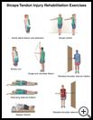 Thumbnail image of: Biceps Tendon Injury Exercises: Illustration