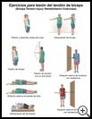 Thumbnail image of: Biceps Tendon Injury Exercises: Illustration