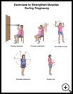 Thumbnail image of: Exercises to Strengthen Muscles During Pregnancy, Page 2: Illustration