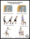 Thumbnail image of: Foot Sprain Exercises: Illustration, page 2