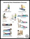 Thumbnail image of: Hamstring Strain Exercises: Illustration