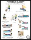 Thumbnail image of: Hamstring Strain Exercises: Illustration