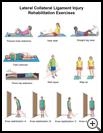 Thumbnail image of: Lateral Collateral Ligament Injury Exercises: Illustration, page 1