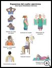 Thumbnail image of: Neck Spasm Exercises: Illustration