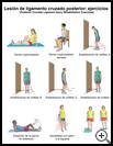 Thumbnail image of: Posterior Cruciate Ligament Injury Exercises: Illustration, page 1