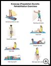 Thumbnail image of: Kneecap (Prepatellar) Bursitis Exercises: Illustration