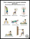 Thumbnail image of: Rhomboid Strain or Spasm Exercises: Illustration