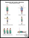 Thumbnail image of: Shoulder Separation Exercises: Illustration, page 2