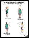 Thumbnail image of: Sternoclavicular Joint Separation Exercises: Illustration, page 1