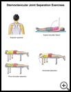Thumbnail image of: Sternoclavicular Joint Separation Exercises: Illustration, page 2