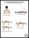 Thumbnail image of: Sternoclavicular Joint Separation Exercises: Illustration, page 2