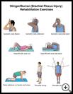 Thumbnail image of: Stinger/Burner (Brachial Plexus Injury) Exercises: Illustration