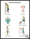 Thumbnail image of: Stretching Exercises: Illustration, page 1
