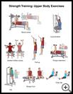 Thumbnail image of: Strength Training: Upper Body Exercises, Illustration