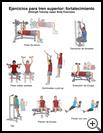 Thumbnail image of: Strength Training: Upper Body Exercises, Illustration