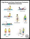 Thumbnail image of: Thigh Bruise and Strain (Quadriceps Contusion) Exercises: Illustration