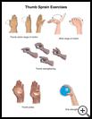 Thumbnail image of: Thumb Sprain Exercises: Illustration