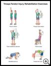 Thumbnail image of: Triceps Tendon Injury Exercises: Illustration