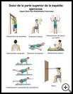 Thumbnail image of: Upper Back Pain Exercises: Illustration