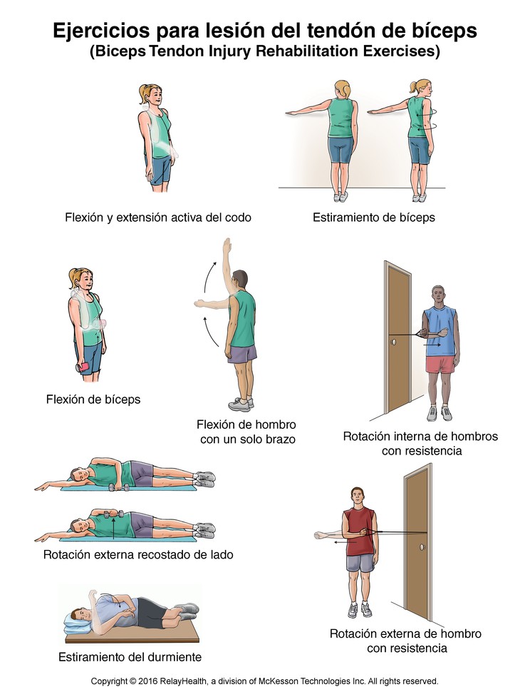 Biceps Tendon Injury Exercises: Illustration