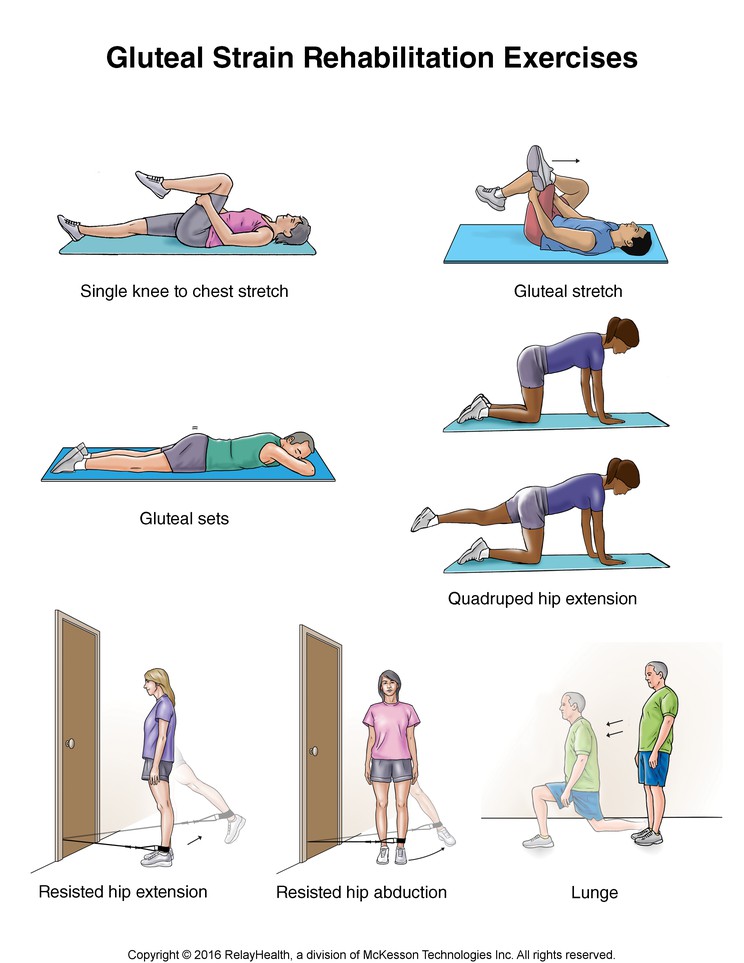 Gluteal Strain Exercises: Illustration
