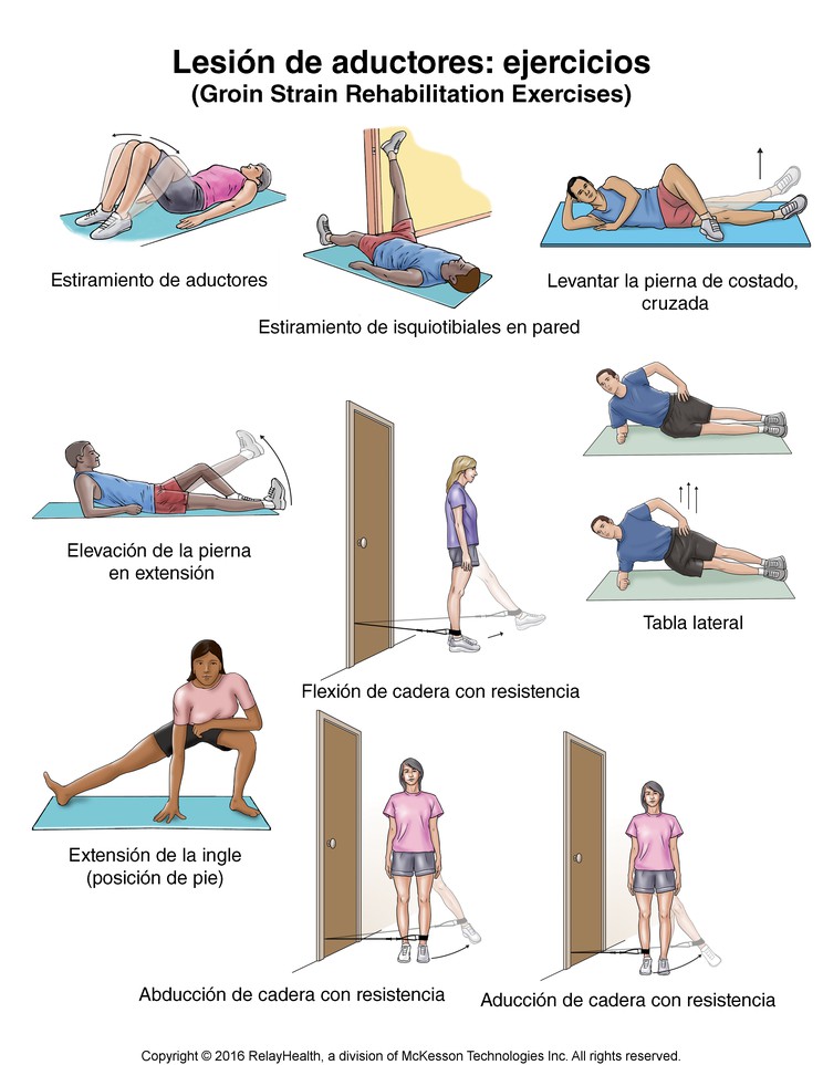 Groin Strain Exercises: Illustration