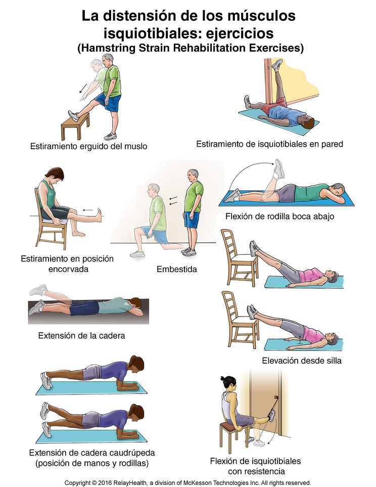 Hamstring Strain Exercises: Illustration