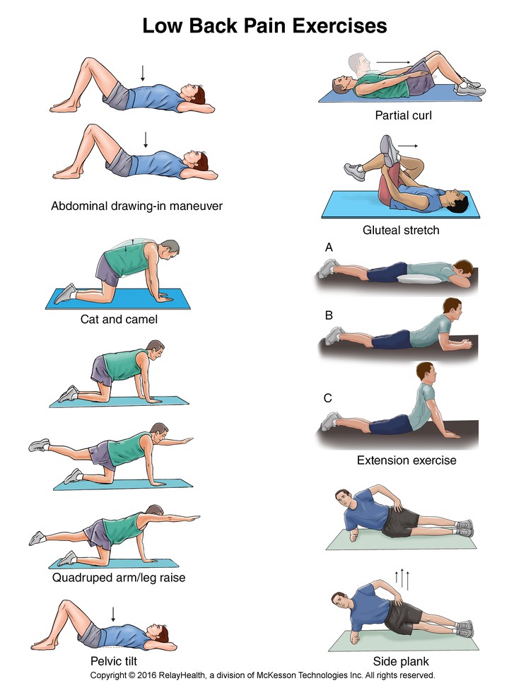 Low Back Pain Exercises: Illustration