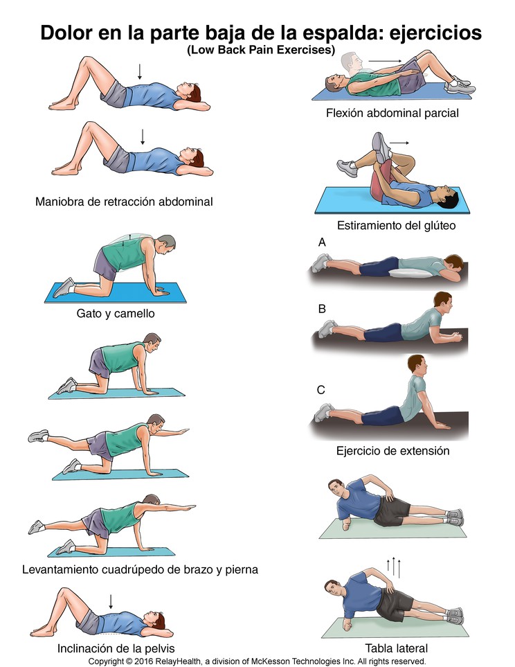 Low Back Pain Exercises: Illustration