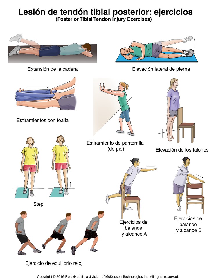 Posterior Tibial Tendon Injury Exercises: Illustration