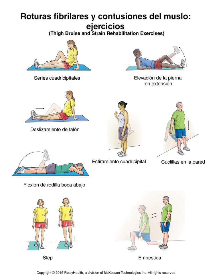 Thigh Bruise and Strain Exercises: Illustration