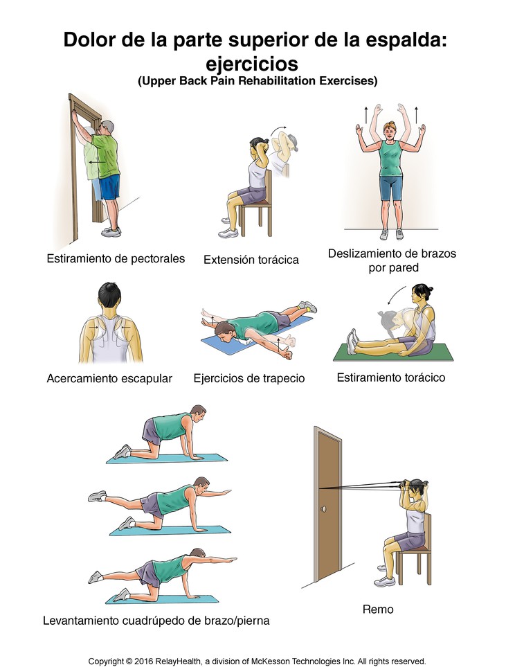 Upper Back Pain Exercises: Illustration
