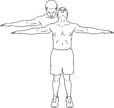 Neck Flexion / Extension - Arms out from Sides