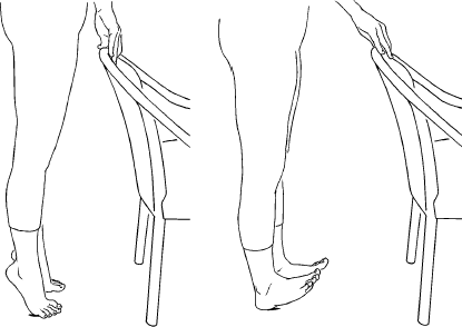 Ankle Plantar Flexion / Dorsiflexion, Standing