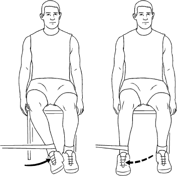 external rotation of the hip