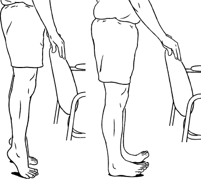 Toe-Up (Ankle Plantar Flexion and Dorsiflexion)