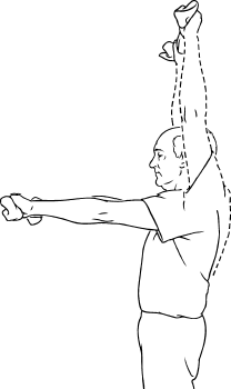 Shoulder / Chest Stretch