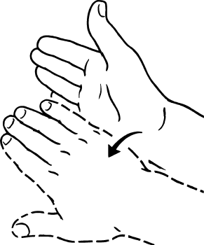 Supination and Pronation in forearm